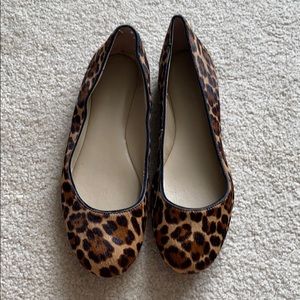 Cheetah Flats